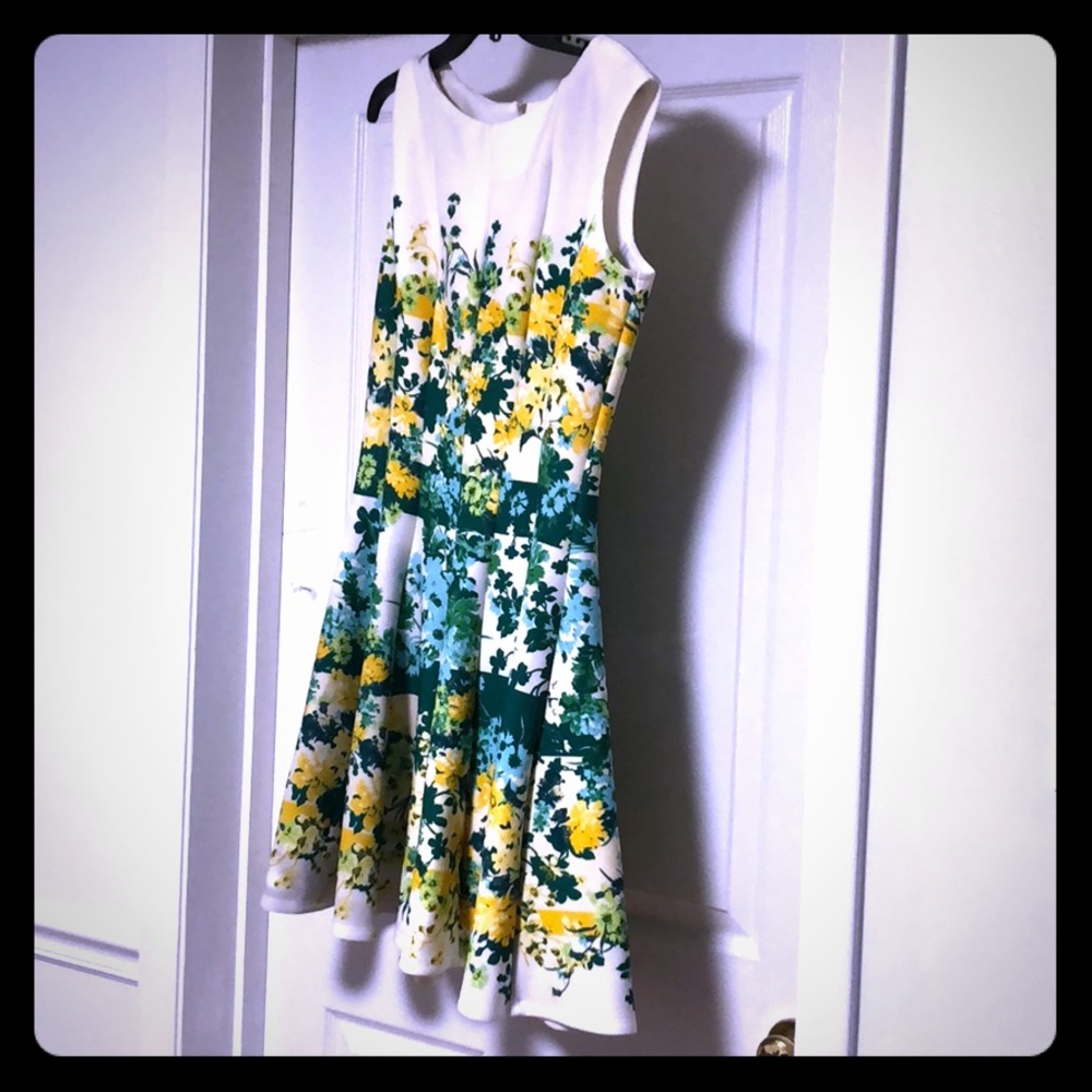 Julian Taylor Spring Dress